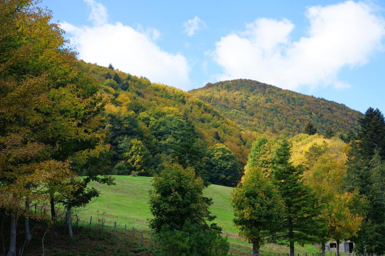 ホテル Monastero Sant'Alberico Relais Balze エクステリア 写真